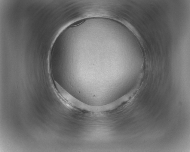 X0000063511246200602101917