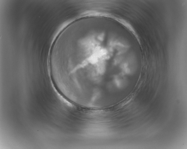 X0000063511247200602101917