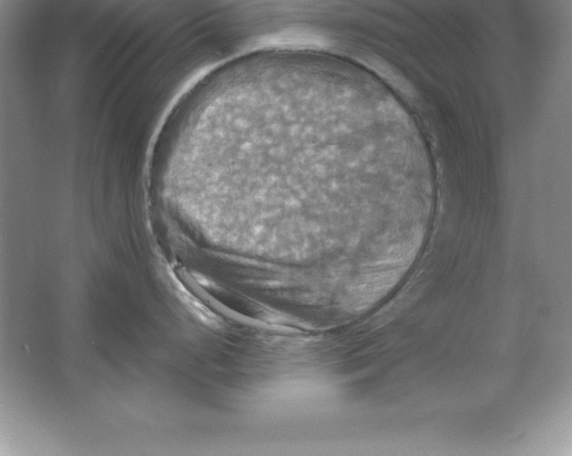 X0000063511248200602101917