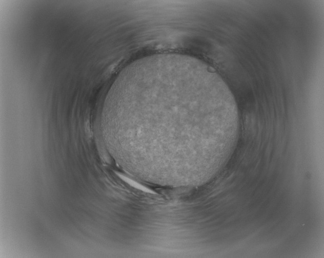 X0000063511250200602101916