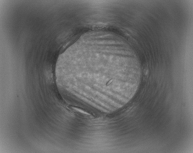 X0000063511252200602101916