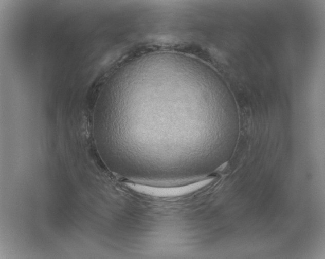 X0000063511253200602101916