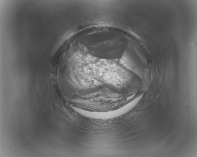 X0000063511255200602101916