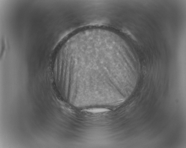 X0000063511256200602101916