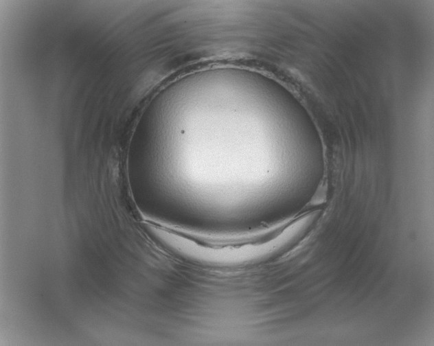 X0000063511257200602101916