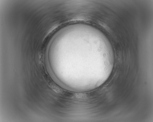 X0000063511258200602101916