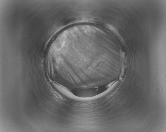 X0000063511260200602101916