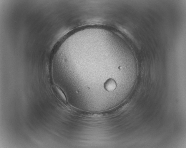 X0000063511261200602101916