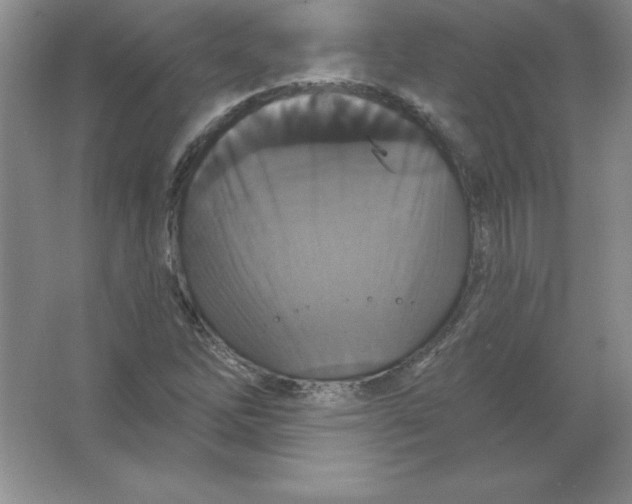 X0000063511262200602101916