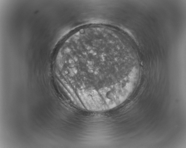 X0000063511263200602101916