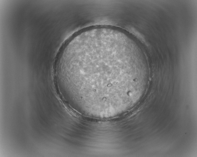 X0000063511264200602101916