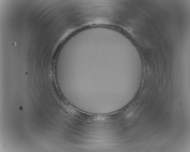 X0000063511266200602101916