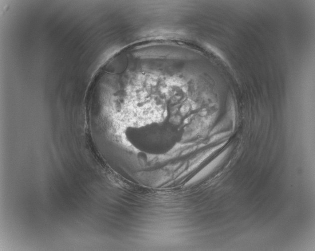 X0000063511267200602101916