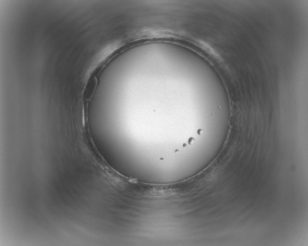 X0000063511269200602101916