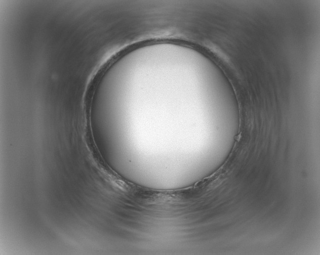 X0000063511270200602101916