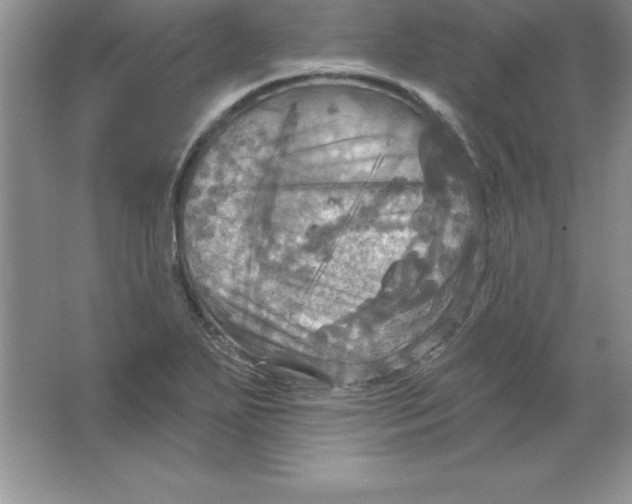 X0000063511271200602101916