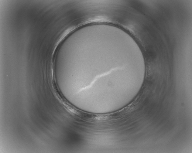 X0000063511274200602101916