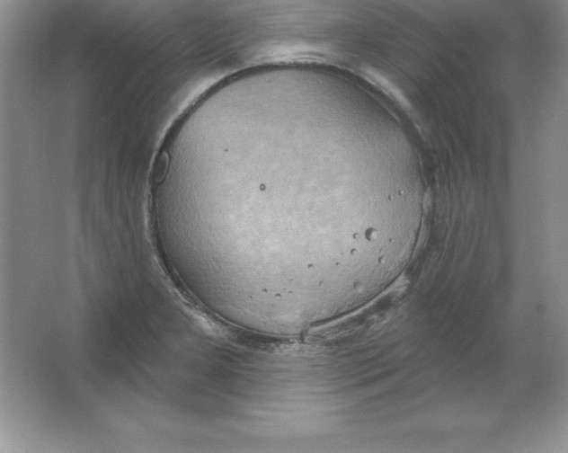 X0000063511277200602101916