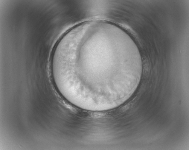 X0000063511278200602101916