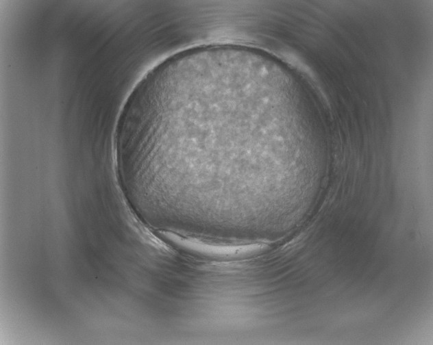 X0000063511280200602101916