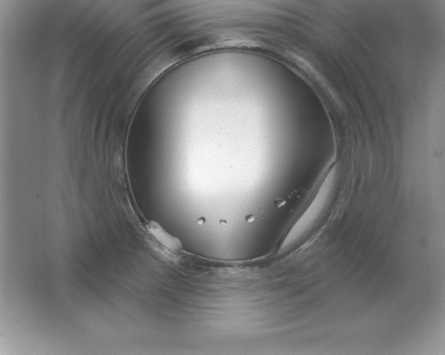 X0000063511281200602101916