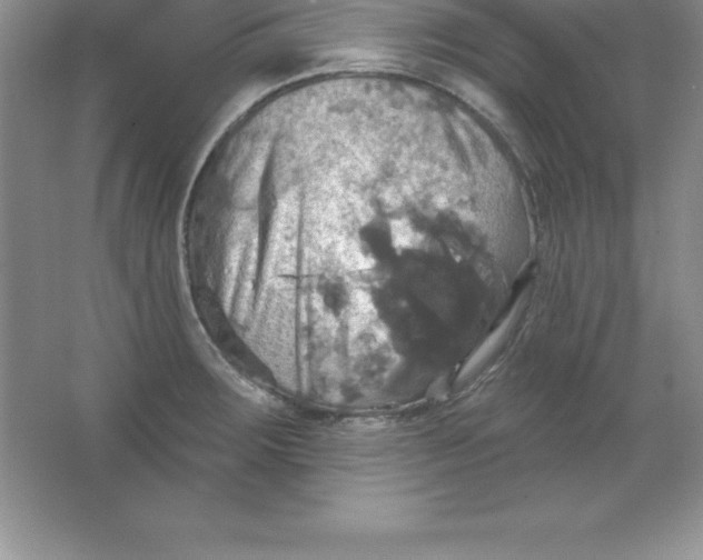 X0000063511283200602101916