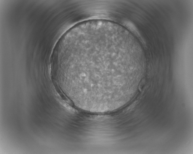 X0000063511284200602101916