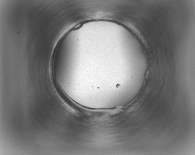 X0000063511285200602101916