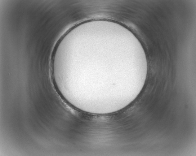 X0000063511286200602101916