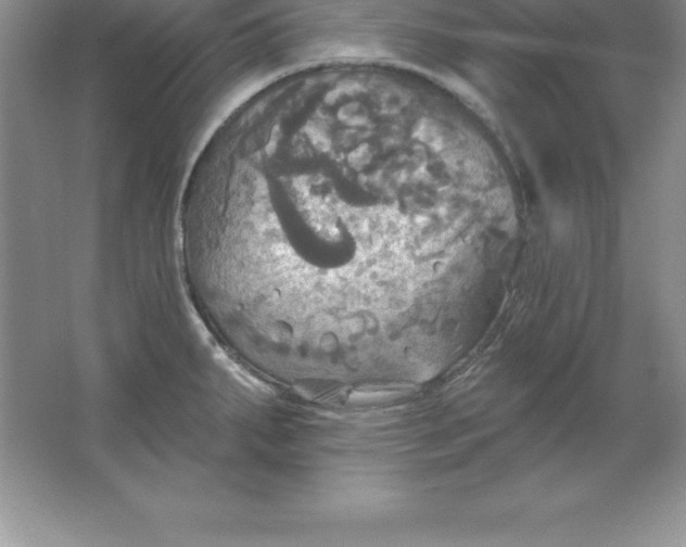 X0000063511287200602101916