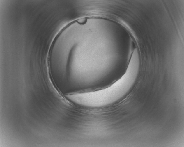 X0000063511291200602101916