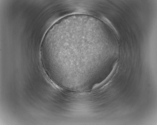 X0000063511292200602101916