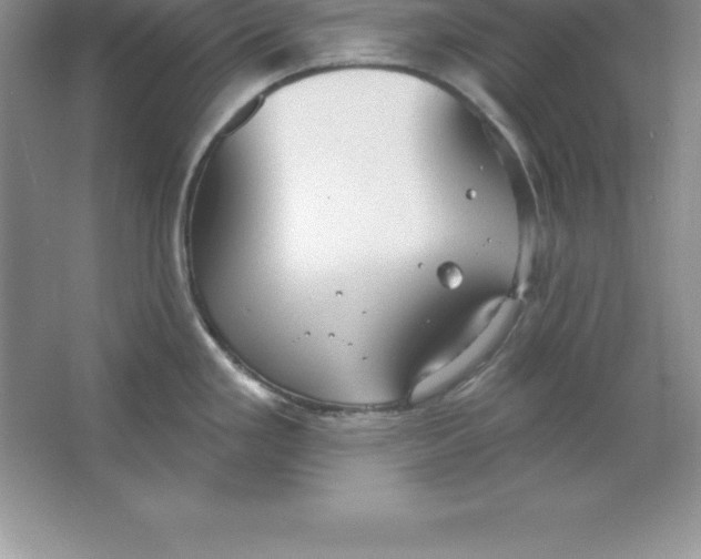 X0000063511293200602101916