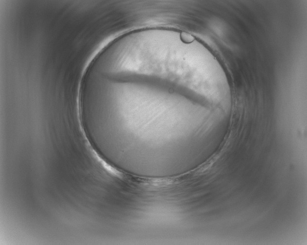 X0000063511294200602101916