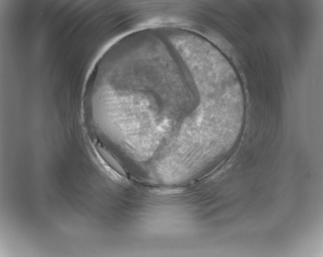 X0000063511296200602101915