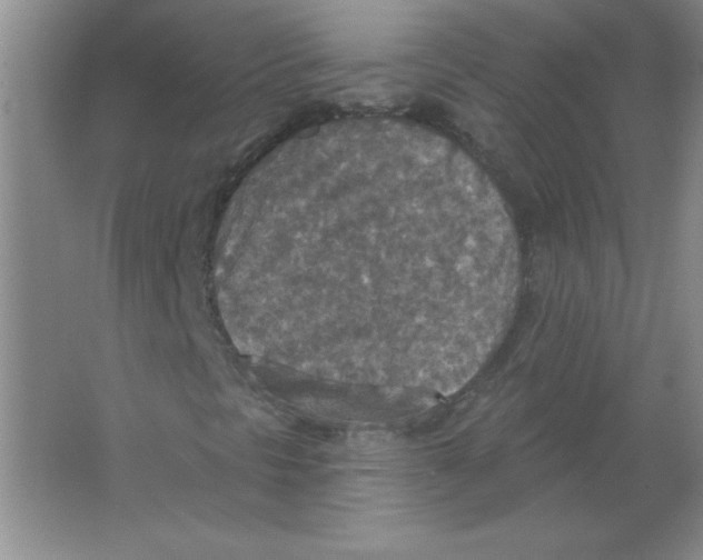 X0000063511297200602101915