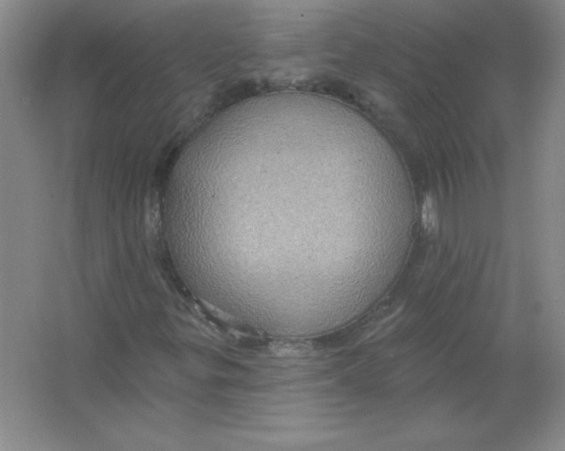 X0000063511299200602101915