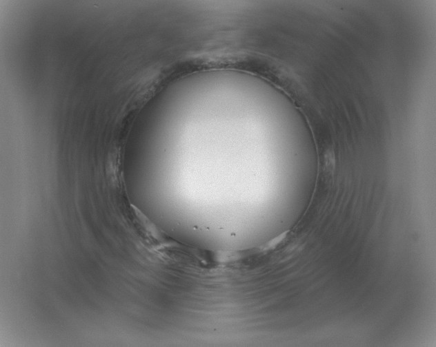 X0000063511300200602101915