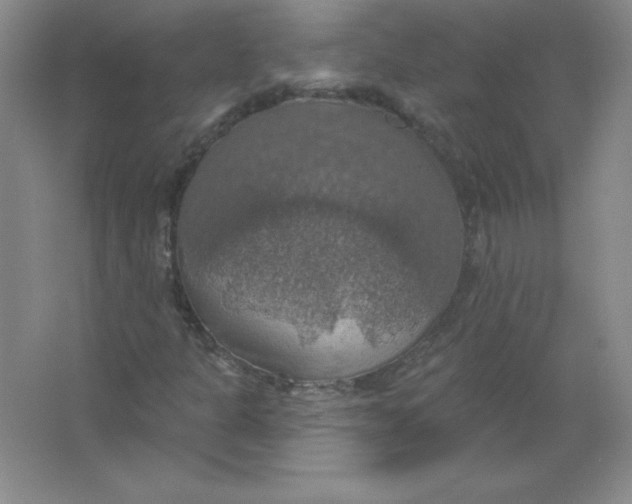 X0000063511301200602101915