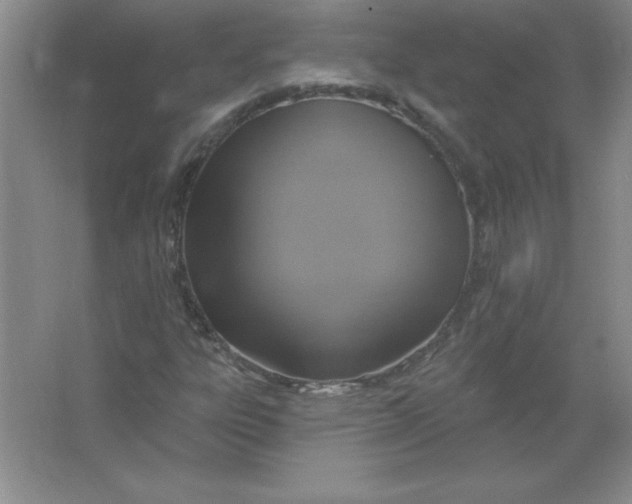 X0000063511303200602101915