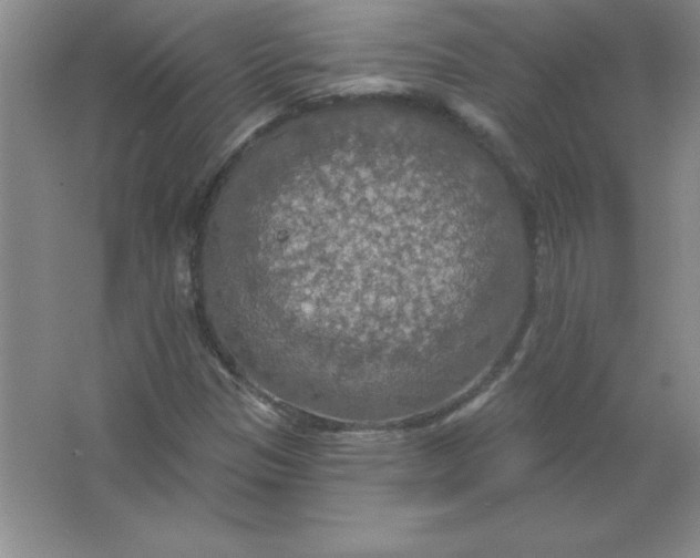 X0000063511305200602101915