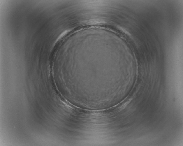 X0000063511306200602101915