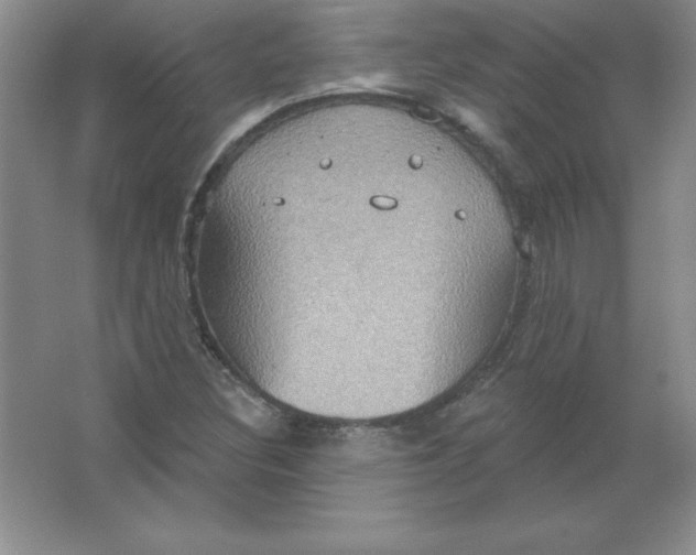 X0000063511308200602101915