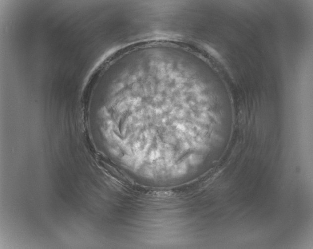 X0000063511310200602101915