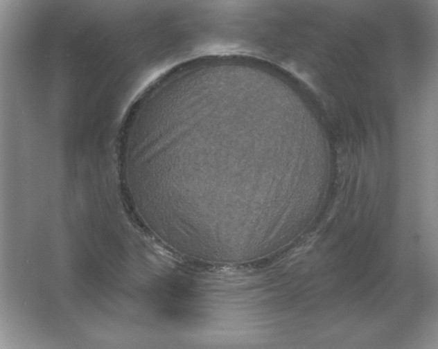 X0000063511311200602101915