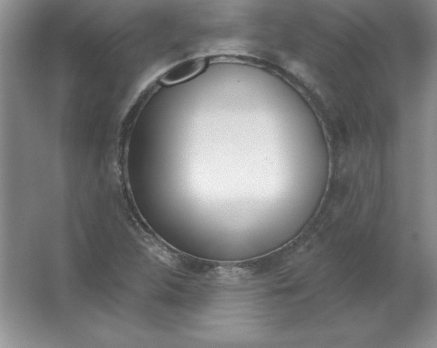 X0000063511312200602101915