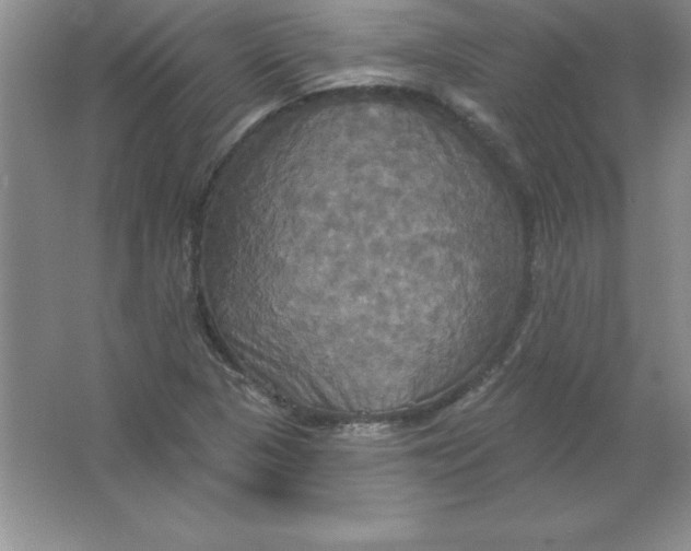 X0000063511313200602101915