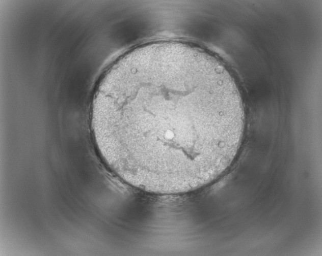 X0000063511314200602101915