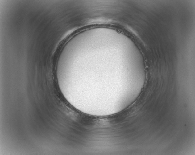 X0000063511315200602101915