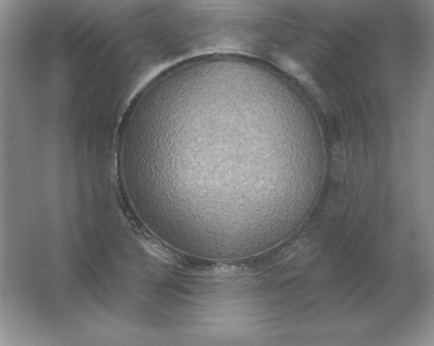 X0000063511316200602101915